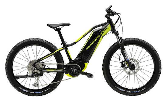noleggia Ebike MTB front child