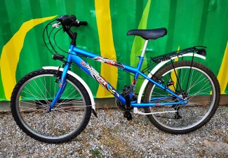 Traditional junior bike