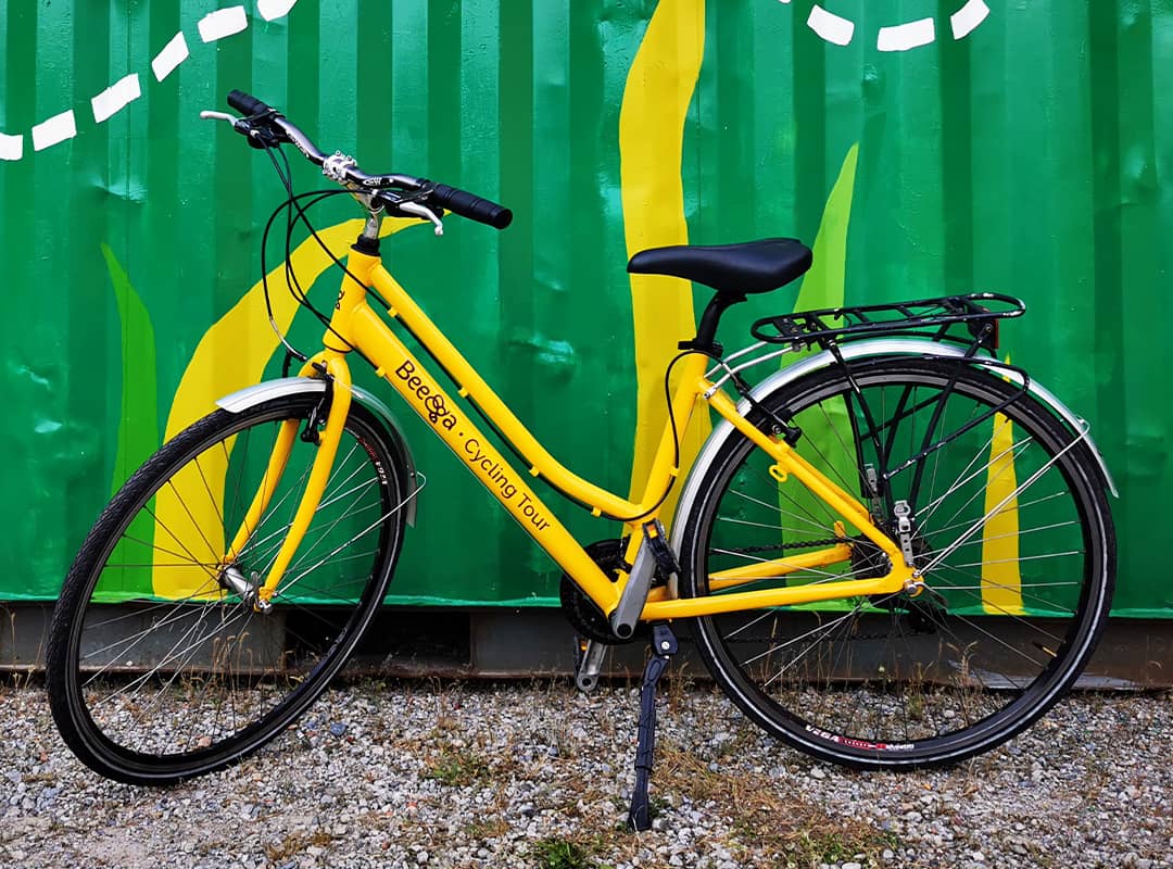 noleggia bici muscolare adulto